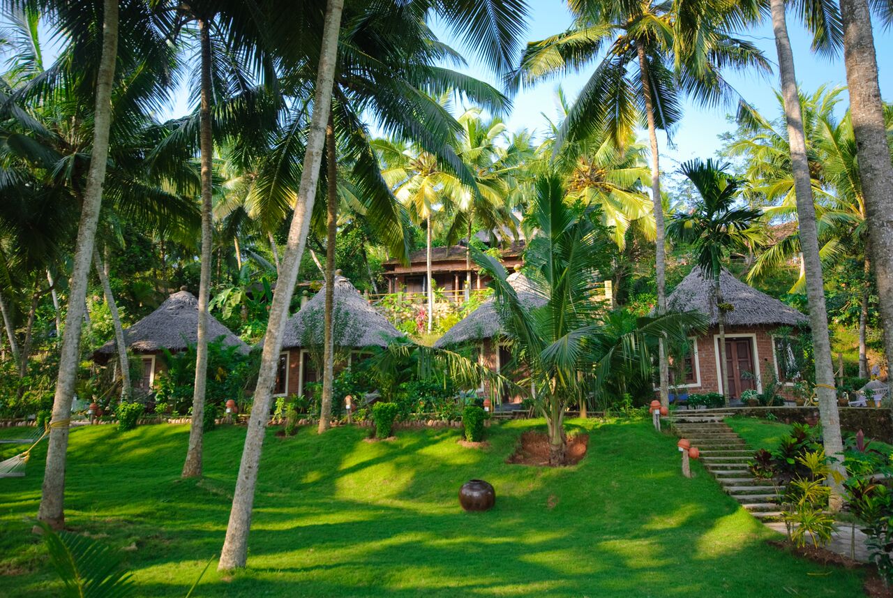 Top 10 Ayurvedic Retreats in Kerala for Wellness Travel